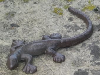images/productimages/small/gar-salamander-gietijzer-tt15711.jpg