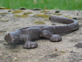 images/productimages/small/gar-salamander-gietijzer-tt15722.jpg