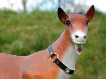 Geit - kunststof beeld - 55 cm - in kleur en detail