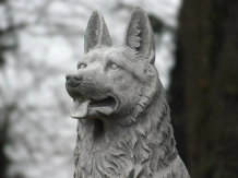 Statue de chien de berger – 120 cm – gris – décoration en pierre