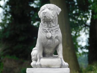 Chien sur socle - 68 cm - pierre - statue de jardin - Rottweiler