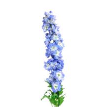 Delphinium Tak - Blauw - 114 cm