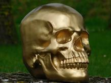 images/productimages/small/schedel.skull.goud.l-14010066.jpg