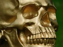 images/productimages/small/schedel.skull.goud.l-14010077.jpg