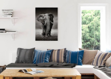 images/productimages/small/schilderij.olifant.90.6044.png