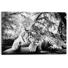 images/productimages/small/schilderij.tijger.zw.w.90.60111.png