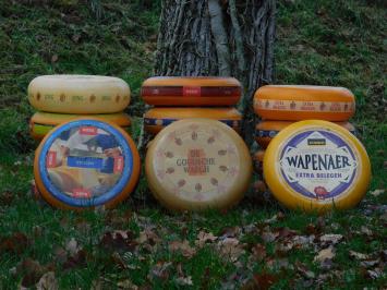 Roues de fromage décoratives – 2 pièces – plastique – 35 cm