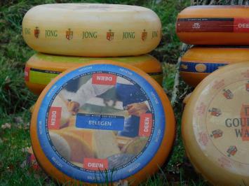 Roues de fromage décoratives – 2 pièces – plastique – 35 cm