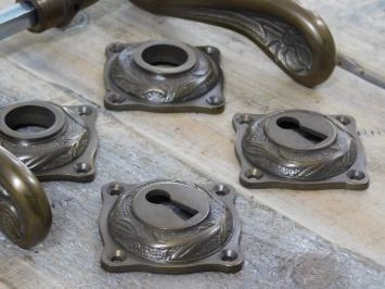 Ensemble de meubles de porte Art-Nouveau + rosaces pour portes intérieures, laiton