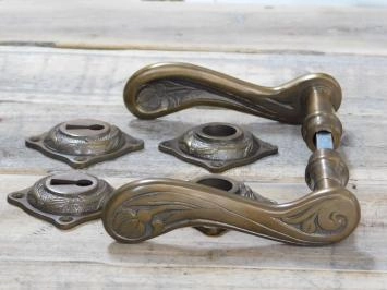 Ensemble de meubles de porte Art-Nouveau + rosaces pour portes intérieures, laiton