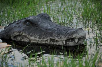 Prachtige polysteinen kop van een krokodil.