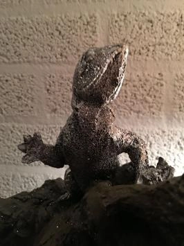 Lézard électrique argenté peint dans l'arbre, magnifique