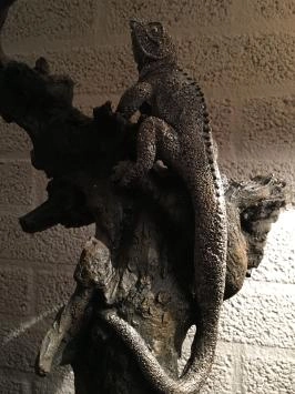 Lézard électrique argenté peint dans l'arbre, magnifique
