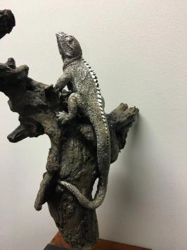 Lézard électrique argenté peint dans l'arbre, magnifique