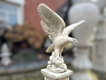 Adelaar - vleugels omhoog - stenen beeld - 60 cm - klassiek