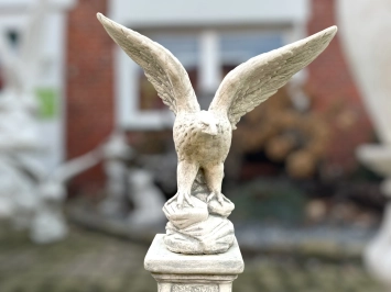 Adelaar - vleugels omhoog - stenen beeld - 60 cm - klassiek