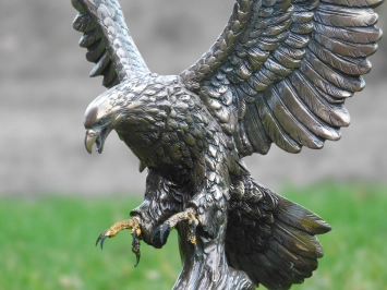 Aigle - ailes larges - polystone - 42 cm - couleur bronze