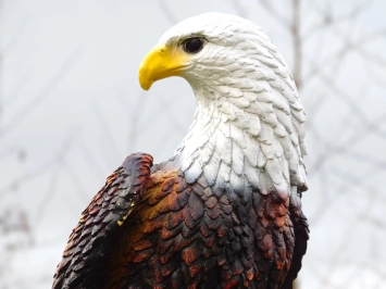 Aigle - statue en polystone - 105 cm - en couleur et en détail