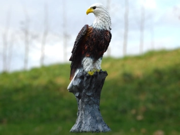 Aigle - statue en polystone - 105 cm - en couleur et en détail