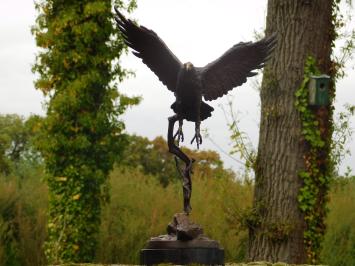 Bronzene Adlerstatue, 51 cm hoch, Tierskulptur auf Marmorsockel