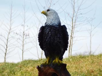Aigle sur souche d'arbre - statue en polystone - 37 cm - en couleur