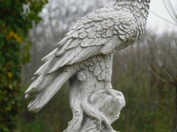 Tuinbeeld adelaar, steen, roofvogel, tuinsculptuur