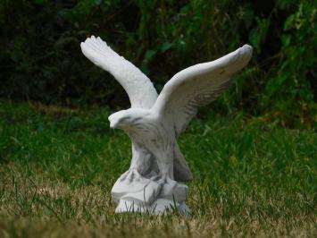 Adelaar, stenen tuinbeeld, roofvogel in actie