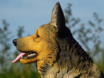 Duitse herder - hond - polystone - 78 cm - in detail