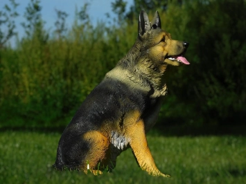 Duitse herder - hond - polystone - 78 cm - in detail