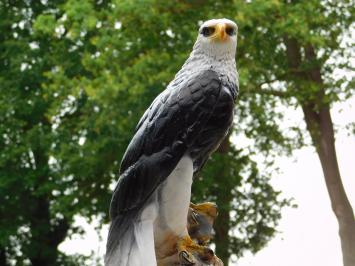 Dekorativer Adler aus Polystone mit naturgetreuen Details