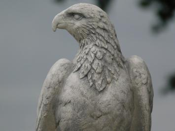 Adler auf Felsen aus Stein – Gartenfigur – 50 cm