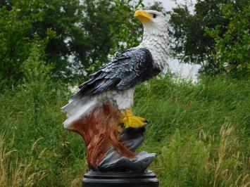 Aigle XL – noir et blanc – polystone – 65 cm – statue décorative