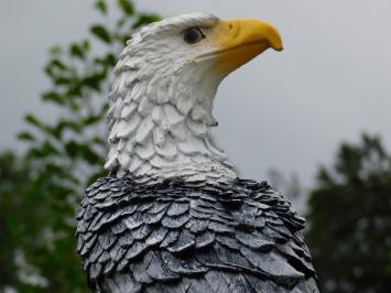 Grand aigle en polystone noir et blanc – impressionnant