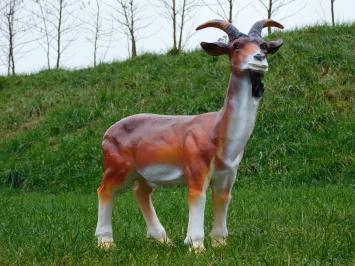 Ziege mit Bart - Polystone Statue - 60 cm - in Farbe und Detail