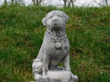 Rottweiler - hond - stenen beeld - 35 cm - in detail