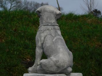 Rottweiler - hond - stenen beeld - 35 cm - in detail