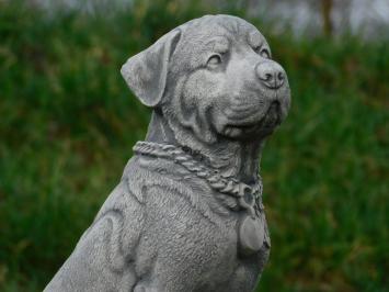 Rottweiler - Hund - Steinstatue - 35 cm - im Detail