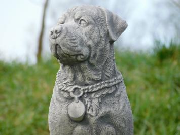 Rottweiler - Hund - Steinstatue - 35 cm - im Detail