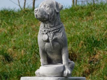 Rottweiler - hond - stenen beeld - 35 cm - in detail