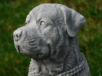 Rottweiler - hond - stenen beeld - 35 cm - in detail