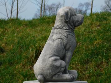 Rottweiler - hond - stenen beeld - 35 cm - in detail