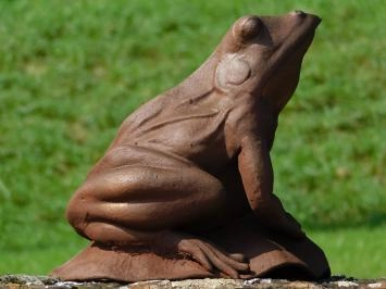 Grenouille - fonte - 25 cm - oxyde - statue robuste