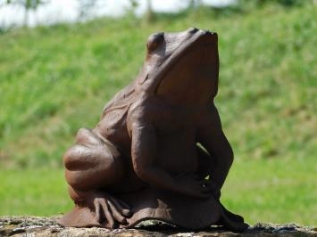 Grenouille - fonte - 25 cm - oxyde - statue robuste