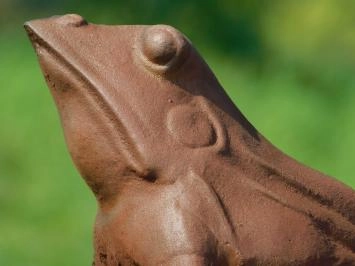 Grenouille - fonte - 25 cm - oxyde - statue robuste