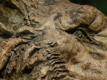 Beeld Leeuwenkop - 50 x 40 cm - Polystone 