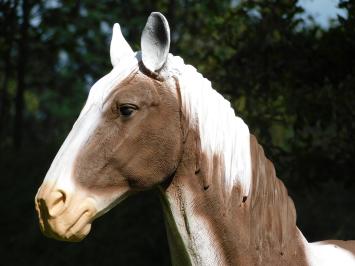 Beeld Paard Bruin met Wit - 105 cm - Polystone
