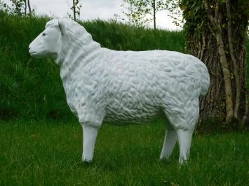 Schaap - polystone beeld - 80 cm - witte kleur - met details