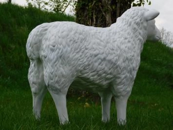 Schaap - polystone beeld - 80 cm - witte kleur - met details
