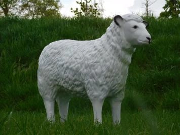 Schaap - polystone beeld - 80 cm - witte kleur - met details