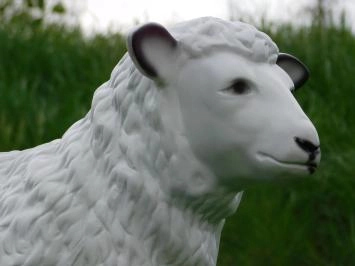 Schaap - polystone beeld - 80 cm - witte kleur - met details